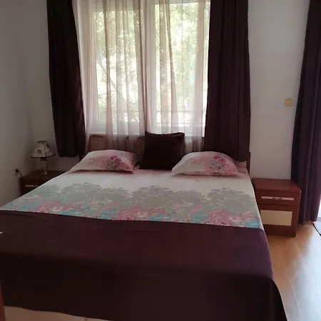 Vesela Casa de hóspedes 4*