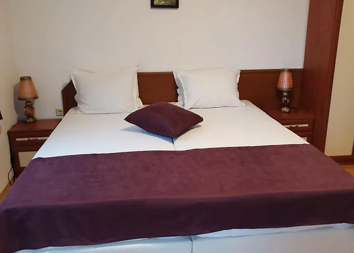 Casa de hóspedes Vesela