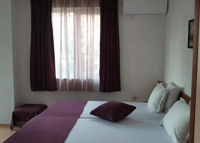 Casa de hóspedes Vesela 4*