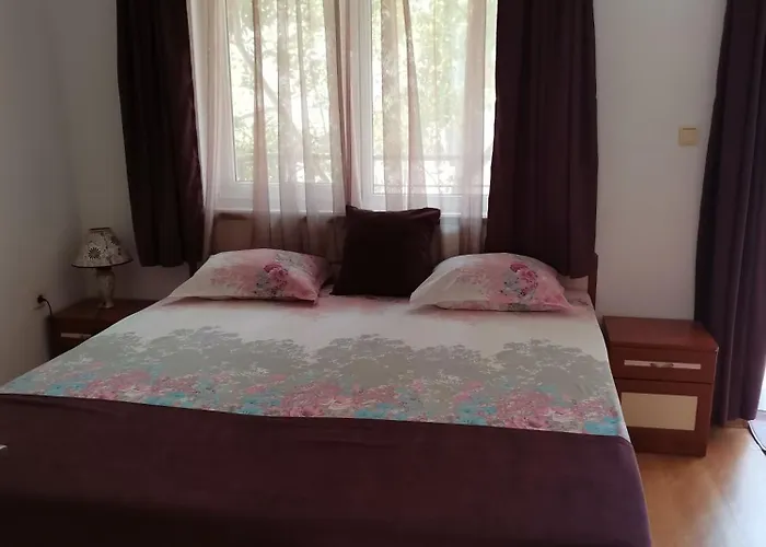 Vesela Къща за гости 4*