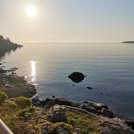 Vesela Gasthuis Sozopol