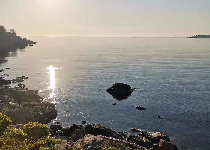 Vesela Gasthuis Sozopol